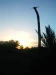 ifiyyey  Sunset (Sundown)